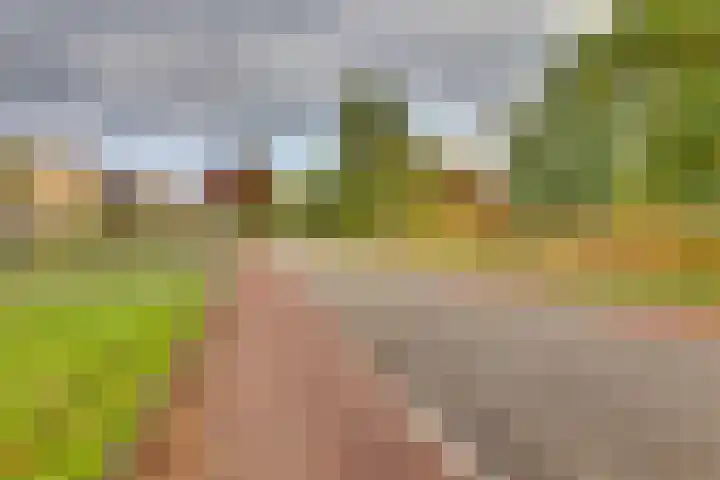 Kon.Wilhelminalaan 27 C Nieuwleusen thumbnail 48