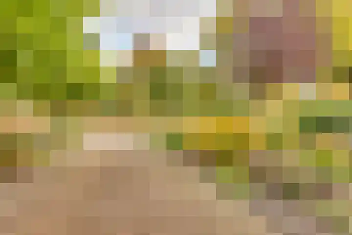 Kon.Wilhelminalaan 27 C Nieuwleusen thumbnail 49