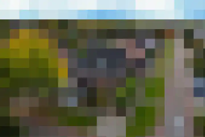 Kon.Wilhelminalaan 27 C Nieuwleusen thumbnail 5