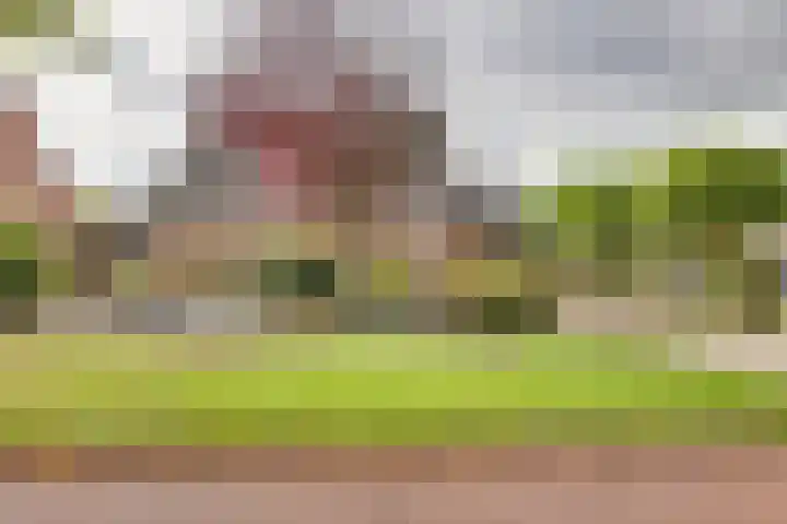 Kon.Wilhelminalaan 27 C Nieuwleusen thumbnail 7