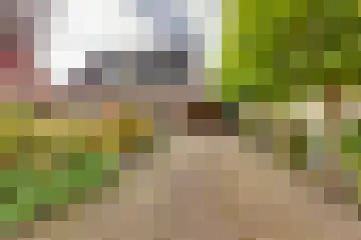 Kon.Wilhelminalaan 27 C Nieuwleusen thumbnail 8