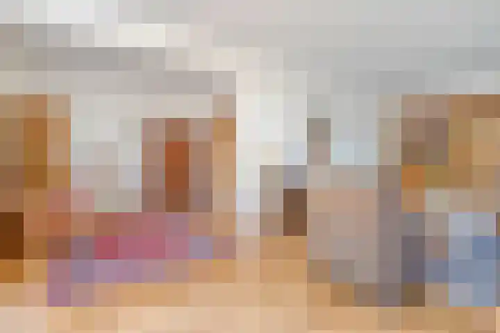 Kon.Wilhelminalaan 3 Nieuwleusen thumbnail 11