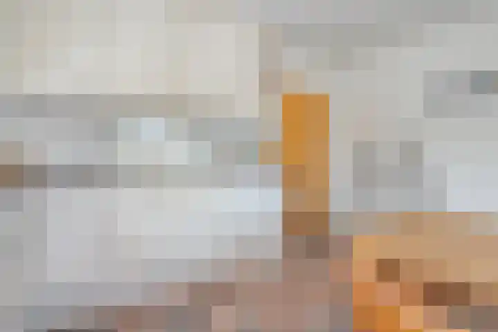 Kon.Wilhelminalaan 3 Nieuwleusen thumbnail 15