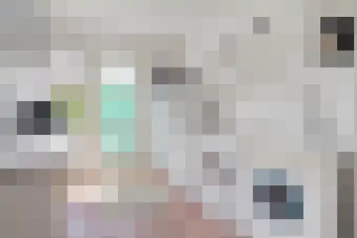 Kon.Wilhelminalaan 3 Nieuwleusen thumbnail 16