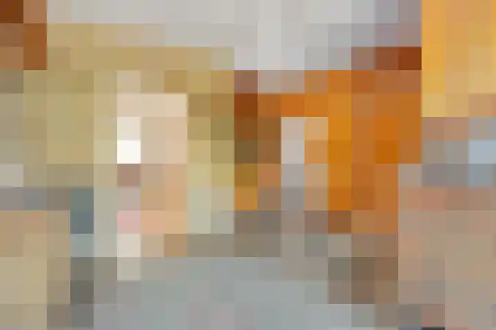 Kon.Wilhelminalaan 3 Nieuwleusen thumbnail 18
