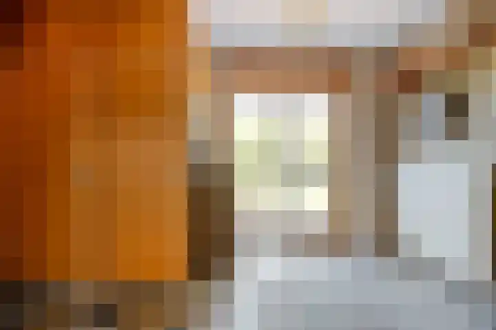 Kon.Wilhelminalaan 3 Nieuwleusen thumbnail 19