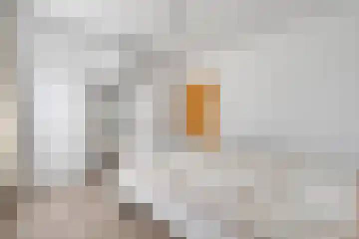Kon.Wilhelminalaan 3 Nieuwleusen thumbnail 22