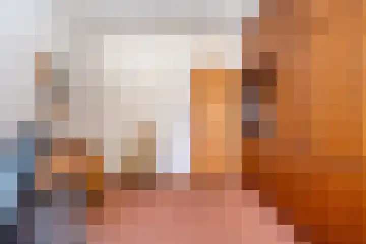 Kon.Wilhelminalaan 3 Nieuwleusen thumbnail 26