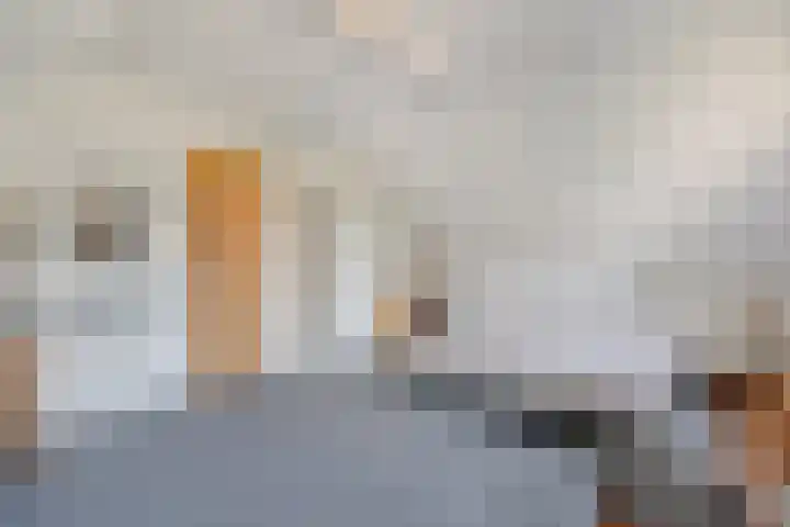 Kon.Wilhelminalaan 3 Nieuwleusen thumbnail 31