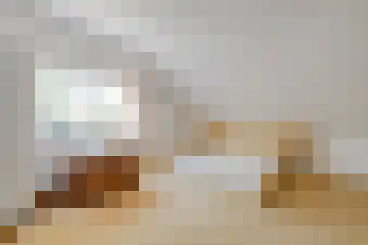Kon.Wilhelminalaan 3 Nieuwleusen thumbnail 32