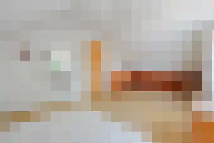 Kon.Wilhelminalaan 3 Nieuwleusen thumbnail 33