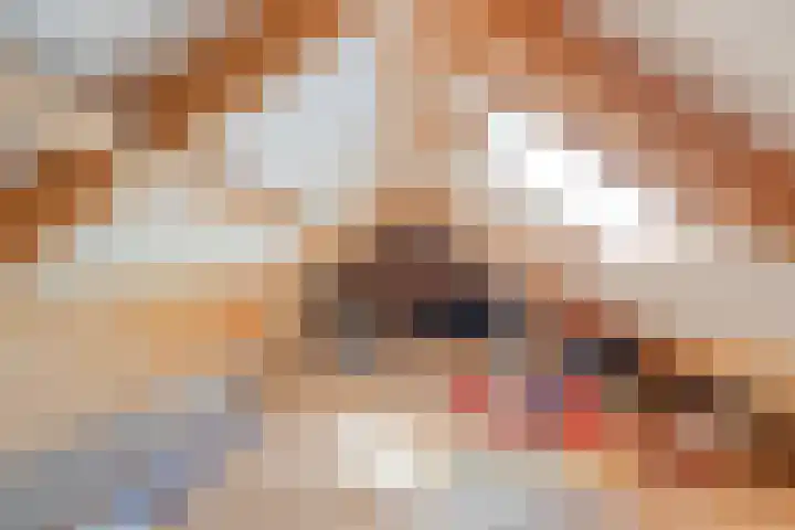 Kon.Wilhelminalaan 3 Nieuwleusen thumbnail 35