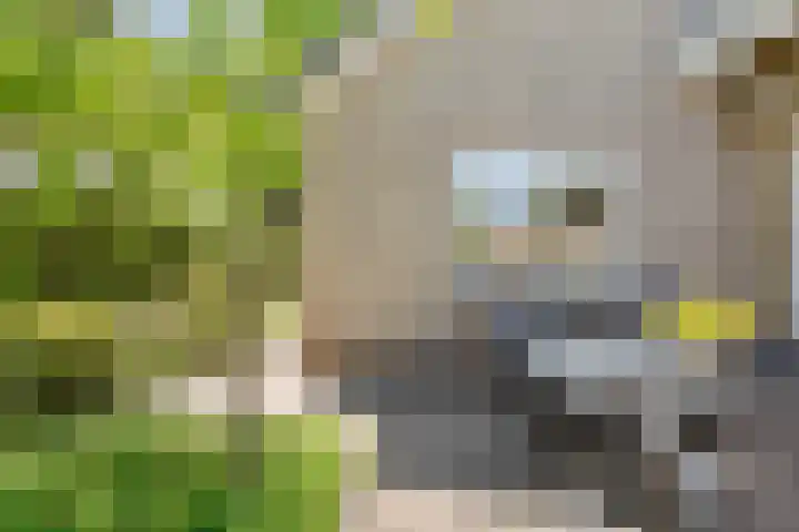 Kon.Wilhelminalaan 3 Nieuwleusen thumbnail 37