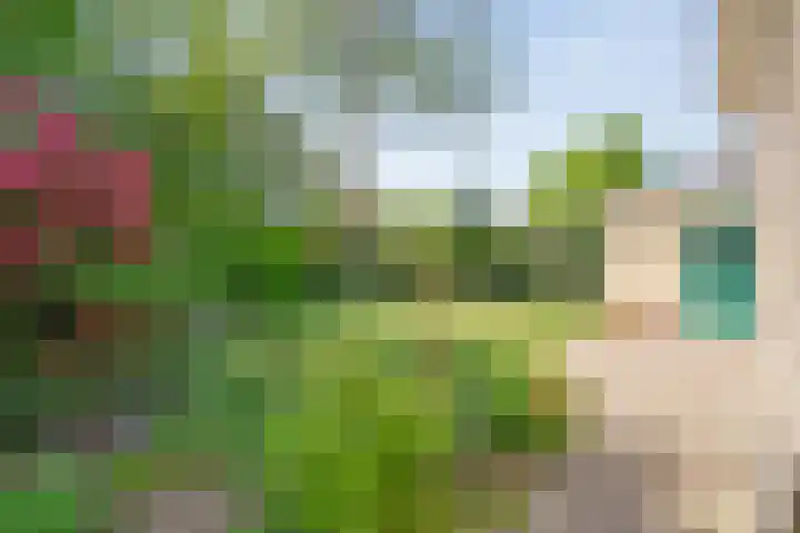 Kon.Wilhelminalaan 3 Nieuwleusen thumbnail 38