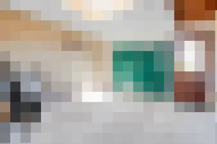 Kon.Wilhelminalaan 3 Nieuwleusen thumbnail 39