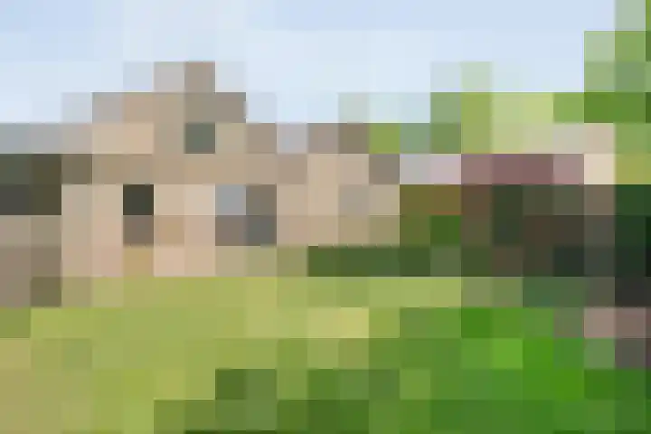 Kon.Wilhelminalaan 3 Nieuwleusen thumbnail 4