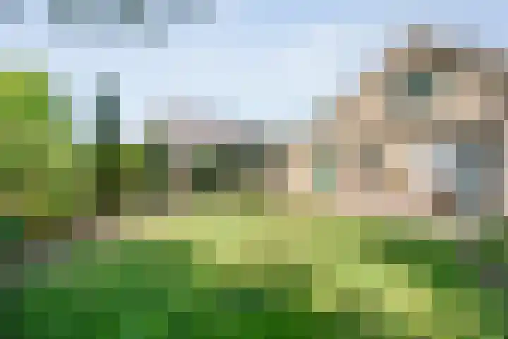 Kon.Wilhelminalaan 3 Nieuwleusen thumbnail 40