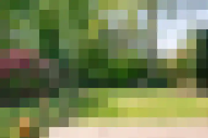 Kon.Wilhelminalaan 3 Nieuwleusen thumbnail 41