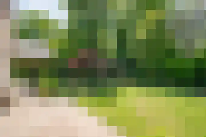 Kon.Wilhelminalaan 3 Nieuwleusen thumbnail 42