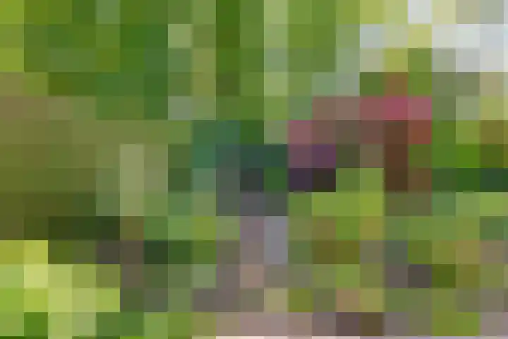 Kon.Wilhelminalaan 3 Nieuwleusen thumbnail 43