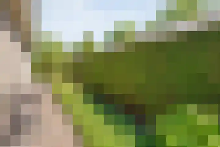 Kon.Wilhelminalaan 3 Nieuwleusen thumbnail 44