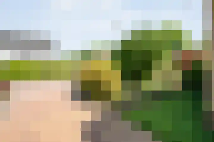 Kon.Wilhelminalaan 3 Nieuwleusen thumbnail 45