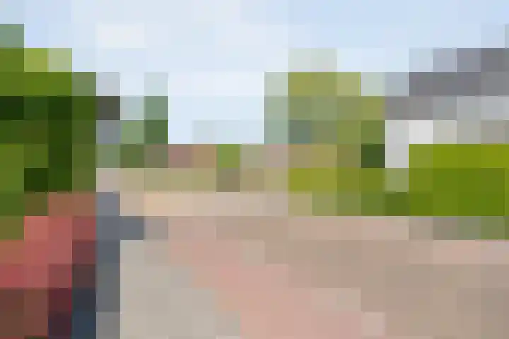 Kon.Wilhelminalaan 3 Nieuwleusen thumbnail 46
