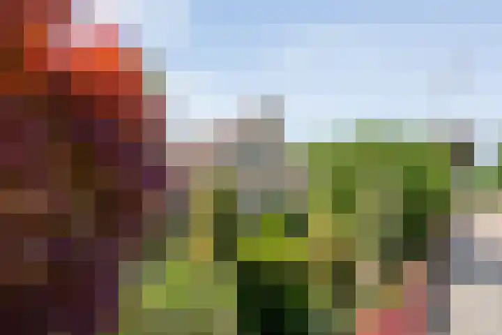 Kon.Wilhelminalaan 3 Nieuwleusen thumbnail 47