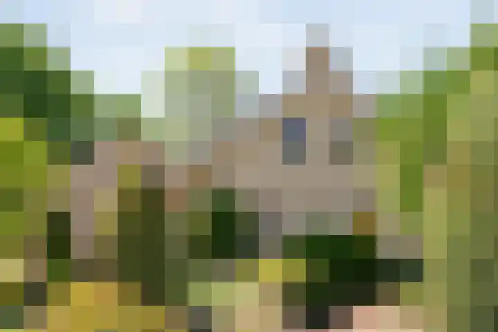 Kon.Wilhelminalaan 3 Nieuwleusen thumbnail 48
