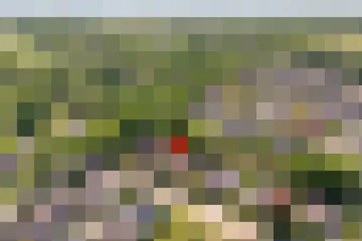Kon.Wilhelminalaan 3 Nieuwleusen thumbnail 49