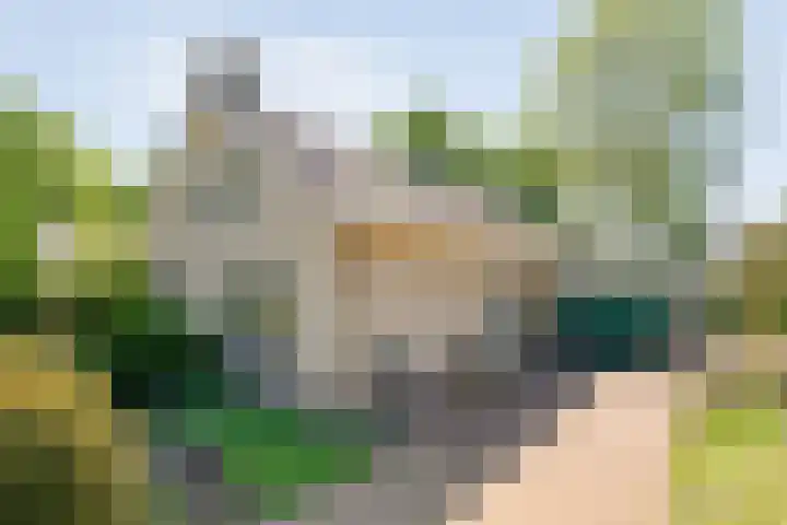 Kon.Wilhelminalaan 3 Nieuwleusen thumbnail 5