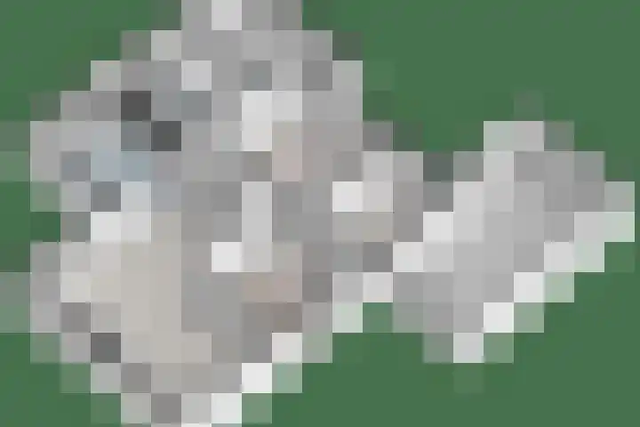 Kon.Wilhelminalaan 3 Nieuwleusen thumbnail 54