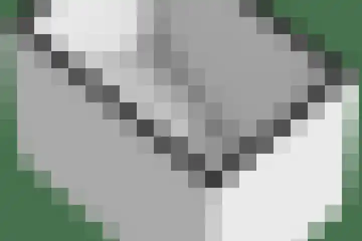 Kon.Wilhelminalaan 3 Nieuwleusen thumbnail 57