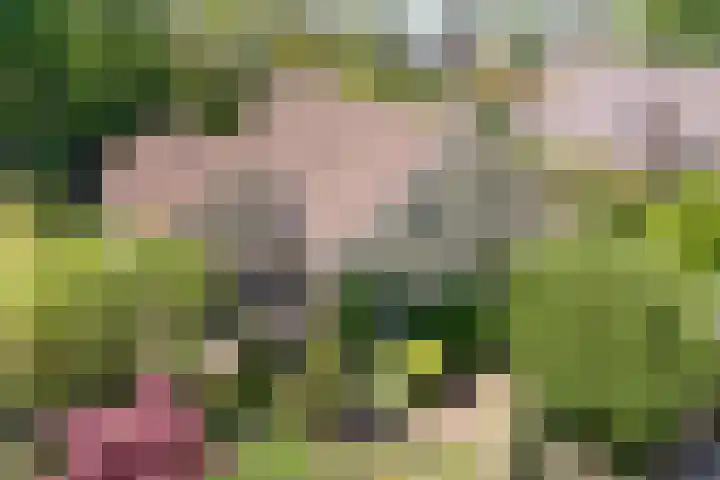 Kon.Wilhelminalaan 3 Nieuwleusen thumbnail 6
