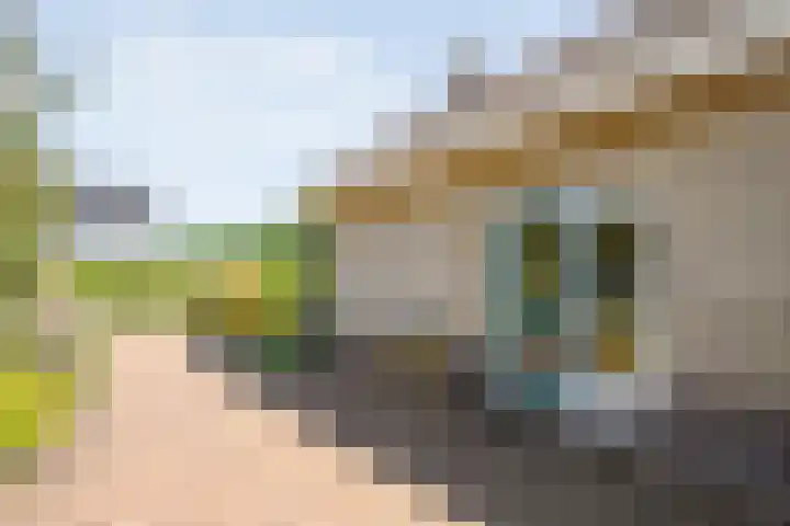 Kon.Wilhelminalaan 3 Nieuwleusen thumbnail 8