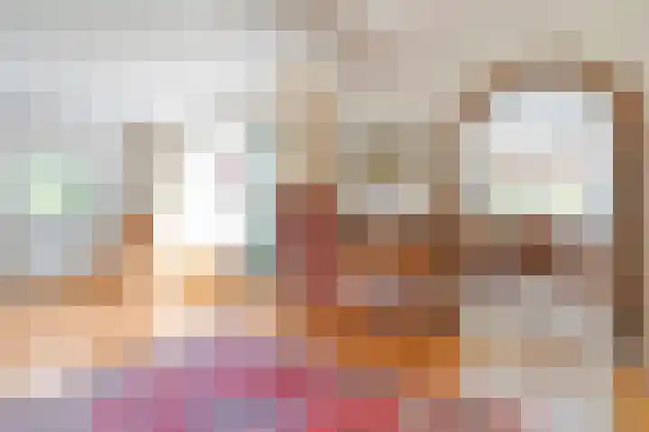 Kon.Wilhelminalaan 3 Nieuwleusen thumbnail 9