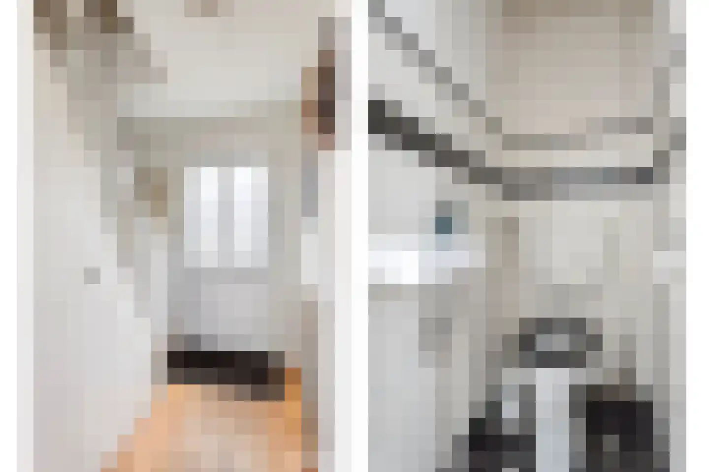 Kon Wilhelminastraat 12 Nieuwerkerk aan den IJssel thumbnail 12
