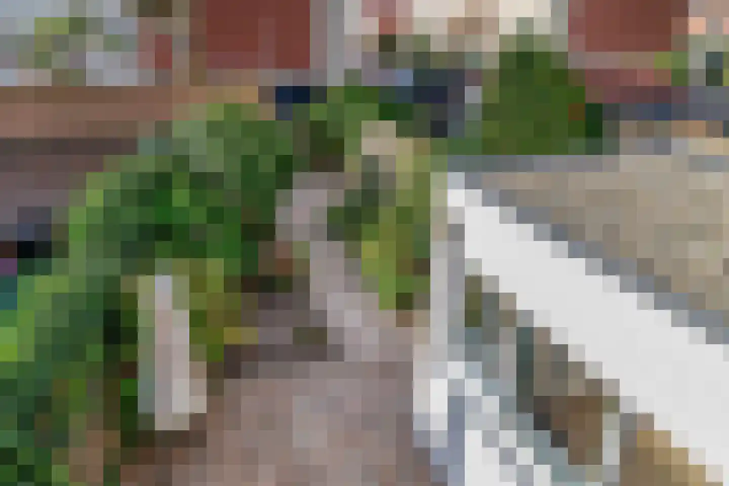 Kon Wilhelminastraat 12 Nieuwerkerk aan den IJssel thumbnail 13