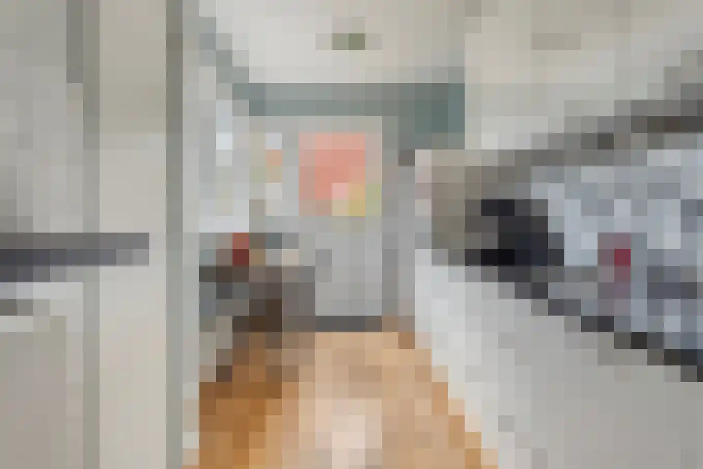 Kon Wilhelminastraat 12 Nieuwerkerk aan den IJssel thumbnail 9