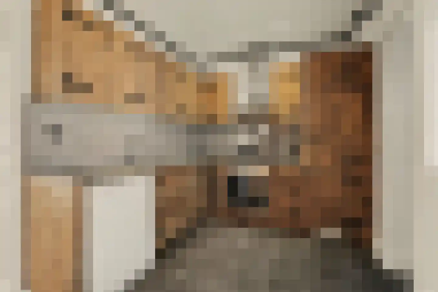 Kon Wilhelminastraat 12 Yerseke thumbnail 14