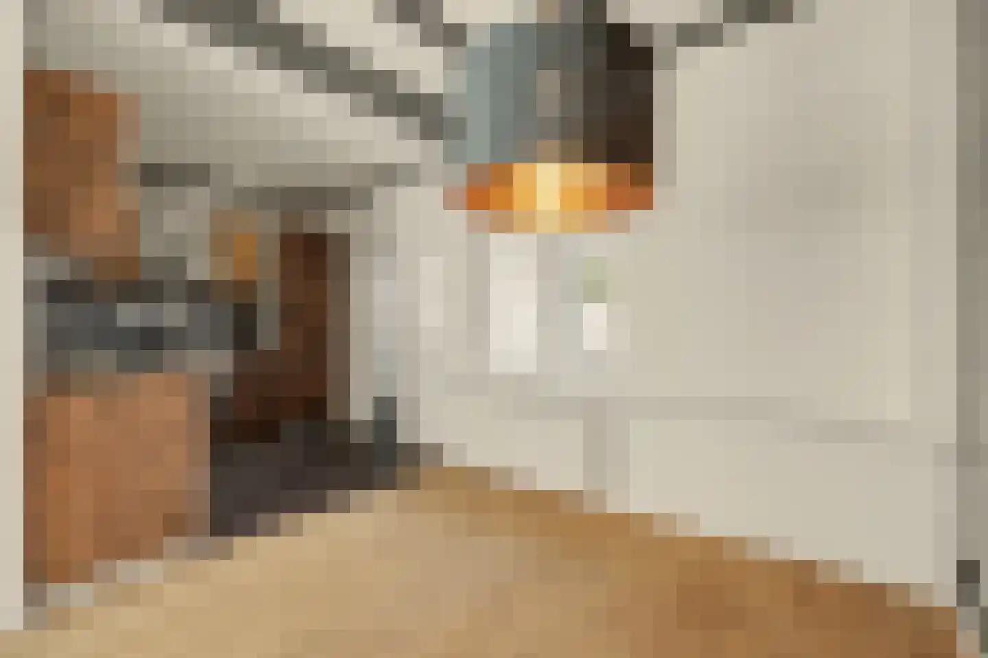 Kon Wilhelminastraat 12 Yerseke thumbnail 15
