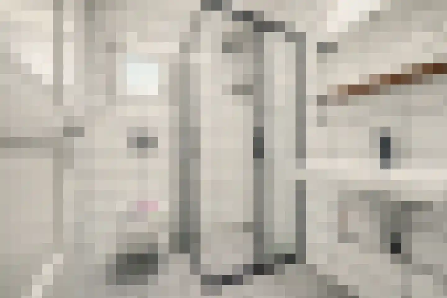 Kon Wilhelminastraat 12 Yerseke thumbnail 22
