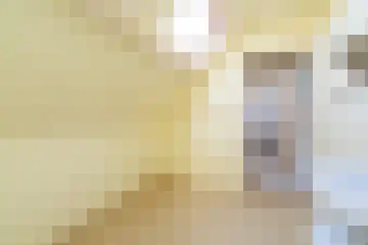 Kon Wilhelminastraat 17 Bunnik thumbnail 36