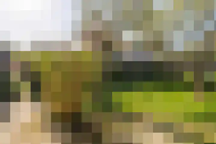 Kon Wilhelminastraat 17 Bunnik thumbnail 38