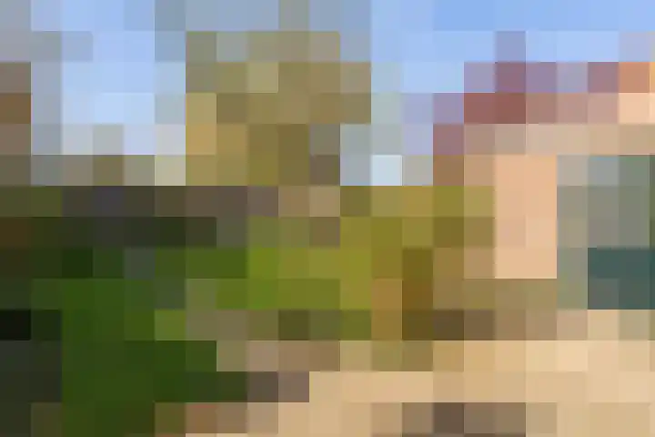 Kon Wilhelminastraat 17 Bunnik thumbnail 40