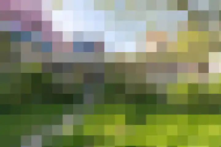 Kon Wilhelminastraat 17 Bunnik thumbnail 41