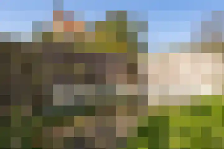 Kon Wilhelminastraat 17 Bunnik thumbnail 42