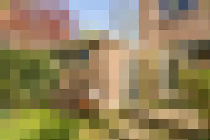 Kon Wilhelminastraat 17 Bunnik thumbnail 43