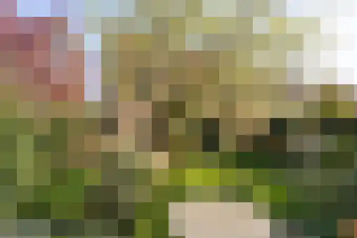 Kon Wilhelminastraat 17 Bunnik thumbnail 44