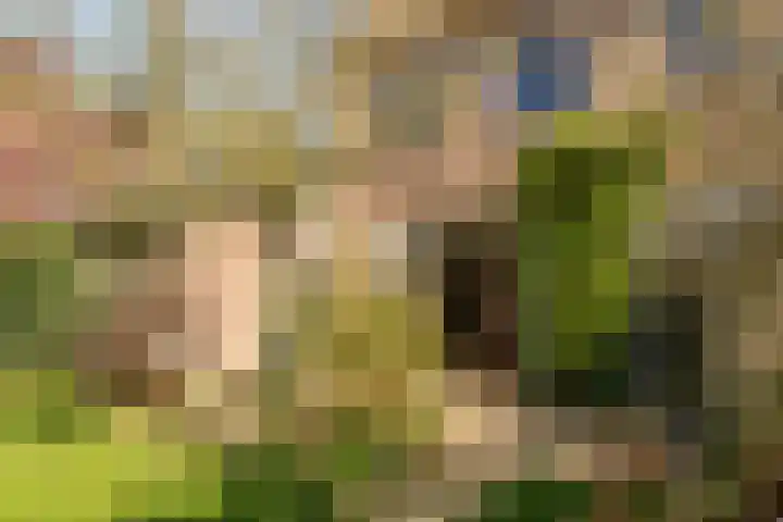 Kon Wilhelminastraat 17 Bunnik thumbnail 45